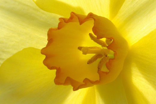 879157 (a): :2048x1365